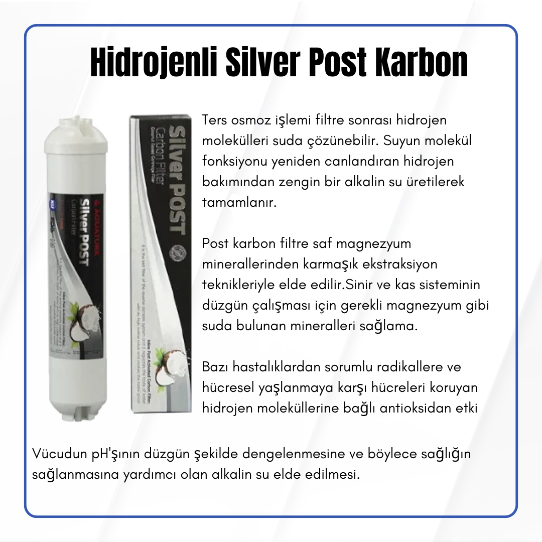 10’’%20Silver%20Post%20Karbon